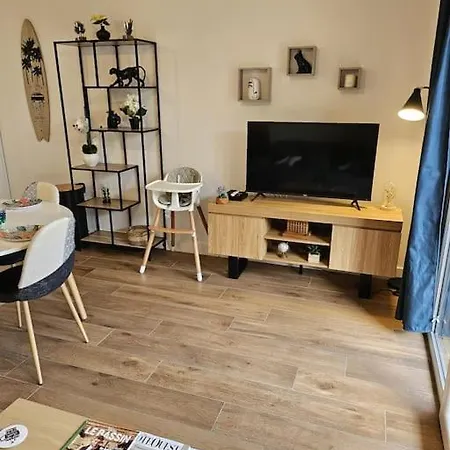 Les Jardin Elegant Et Ambiance Cosy * Biscarrosse